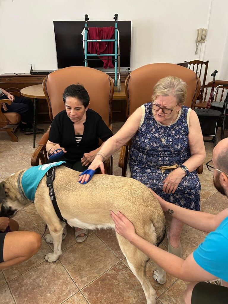 Residente cepillando a un perro de terapia durante el taller