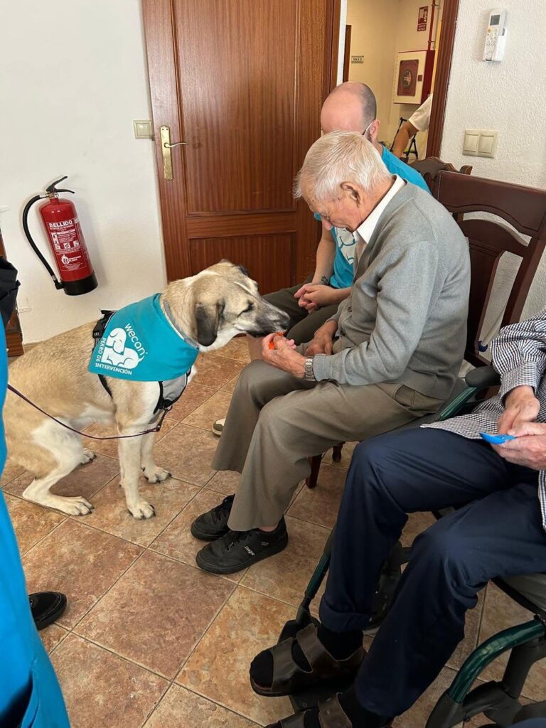 Residente dando un premio a un perro de terapia de WECAN Córdoba