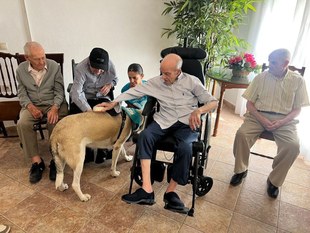 Residentes cepillando y acariciando a un perro de terapia en la sala común de la residencia