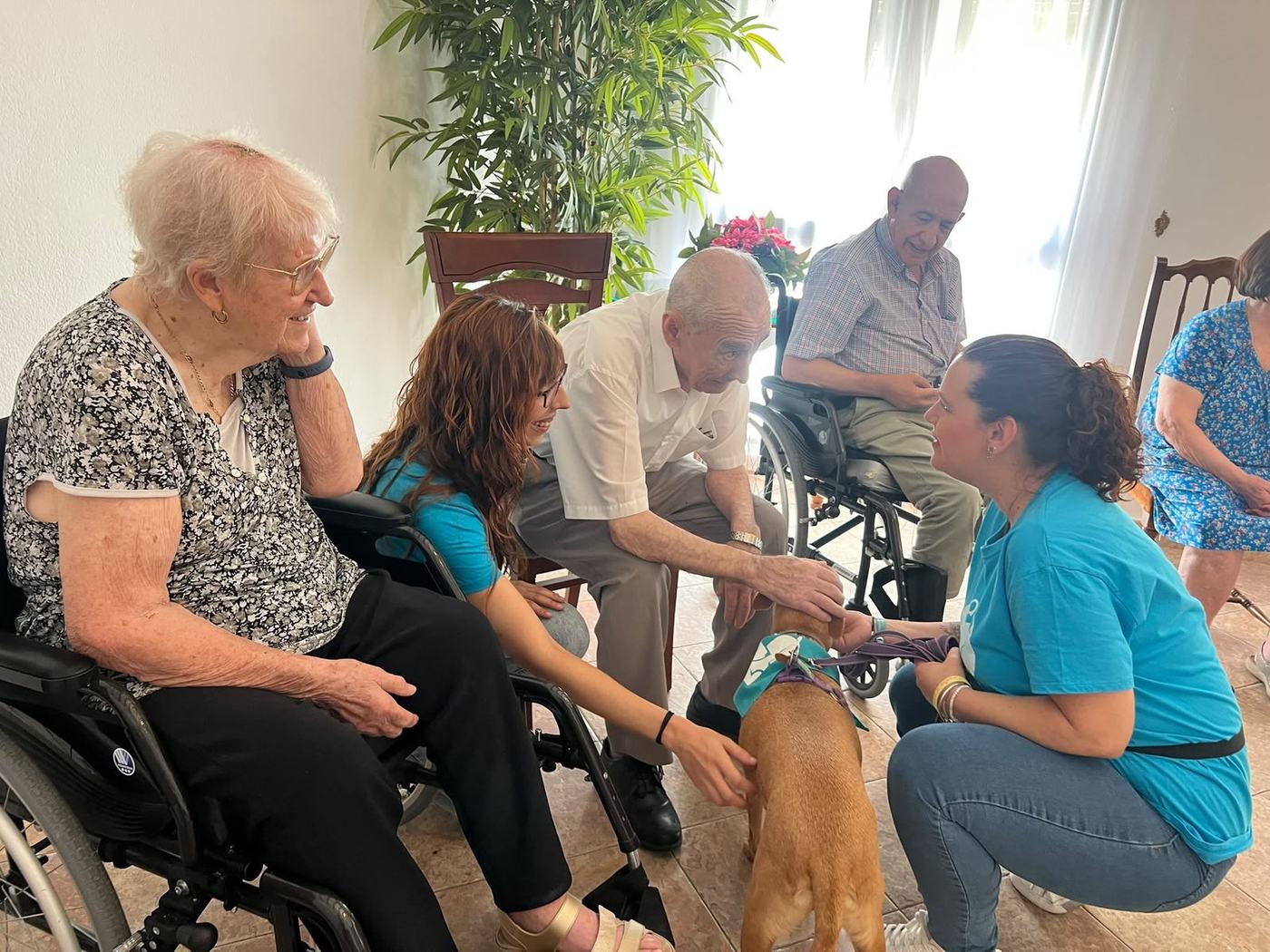 Residentes de la Residencia San Juan de Dios de Priego de Córdoba acariciando a un perro de terapia junto al equipo de WECAN Córdoba