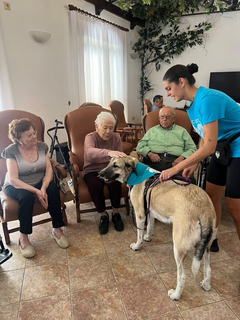 Profesional de WECAN Córdoba acercando un perro de terapia a un grupo de residentes